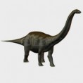 /album/foto%c4%9fraflar%3a-anasayfa/apatosaurus-dinazor-t%c3%a3%c2%bcr%c3%a3%c2%bc-ve-resimleri-jpg1/